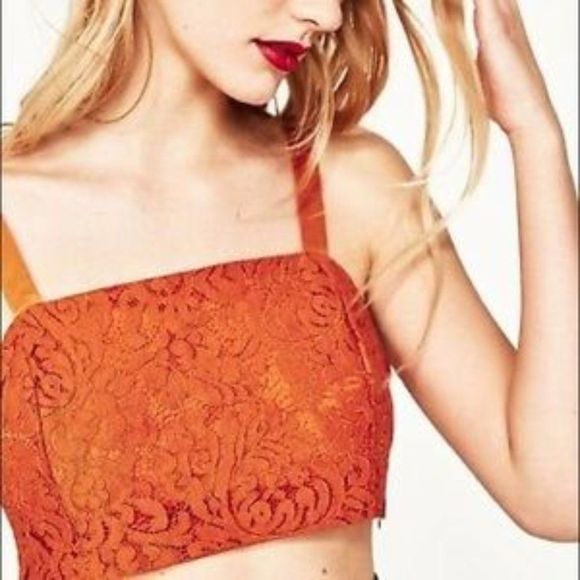 Zara Tops - ZARA Burnt Orange Lace Crop Top NWOT